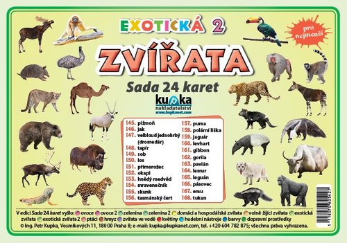 /media/products/sada-24-karet-zvirata-exoticka-2-0.jpg.big_3JzC2KS.jpg