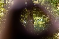 /media/products/10030-000-E_3.jpg