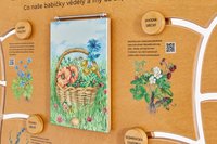 /media/products/10094-000-E_6.jpg