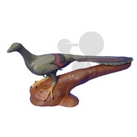 Prapták Archeopteryx