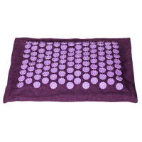 /media/products/11721_akupunkturnyy-kovrik-ort-500x500.png