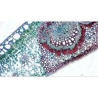 /media/products/1174000_3.webp