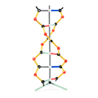 DNA malá souprava, Orbit