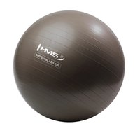 Gymnastický míč HMS YB02N 65 cm bronzový