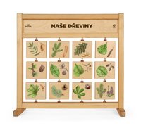 Tabulky poznání stolní - Naše dřeviny