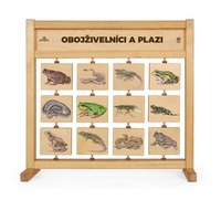 Tabulky poznání stolní - Obojživelníci a plazi