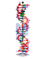 Mini DNA – 22 vrstev