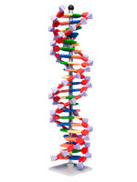 Mini DNA – 22 vrstev