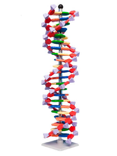 /media/products/44-AMDNA060-22-Mini-DNA-22-vrstev.png
