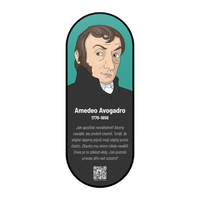 Nástěnný obraz Amedeo Avogadro