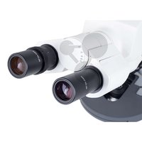 /media/products/CO1223.001.jpg