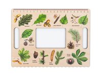 Chytré okénko hravého BADATELE - Stromy