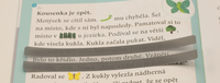 Čtecí okénko pro řádek - transparentní okénko