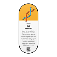 /media/products/DNA.png