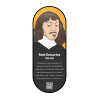 Nástěnný obraz Descartes