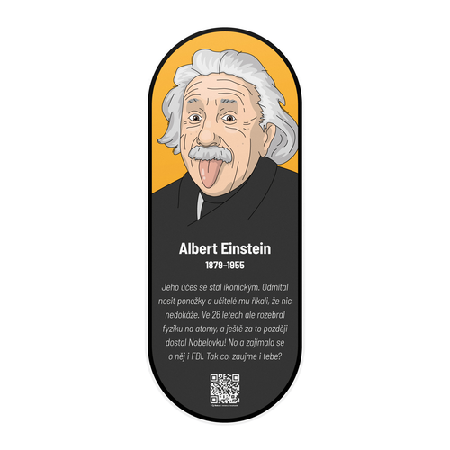 /media/products/Einstein-Albert_hjuIuq1.png
