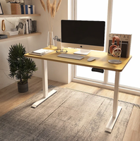 /media/products/Elektricky_stavitelny_stul_podnoz_4_u4491p6.png