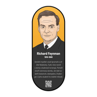 Nástěnný obraz Richard Feynman