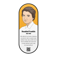 Nástěnný obraz Rosalind Franklin