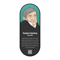 Nástěnný obraz Stephen Hawking