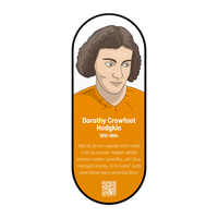 Nástěnný obraz Dorothy Crowfoot Hodgkin