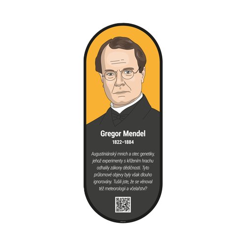 /media/products/Mendel-Gregor.png