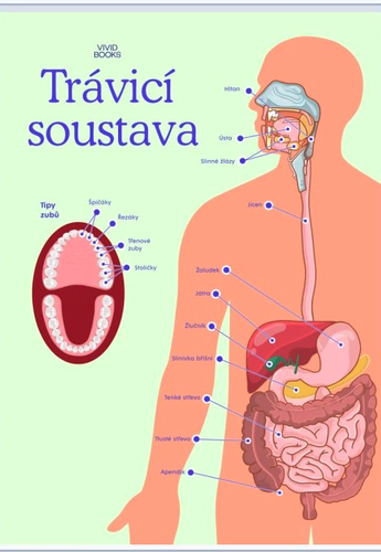 /media/products/Nastenny_obraz_travici_soustava.png