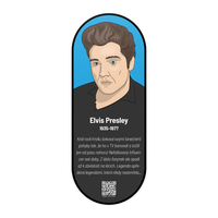 Nástěnný obraz Elvis Aron Presley
