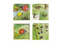 Puzzle životní cyklus berušky + free aplikace