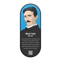 Nástěnný obraz Nikola Tesla