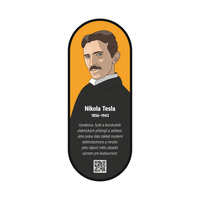 Nástěnný obraz Nikola Tesla