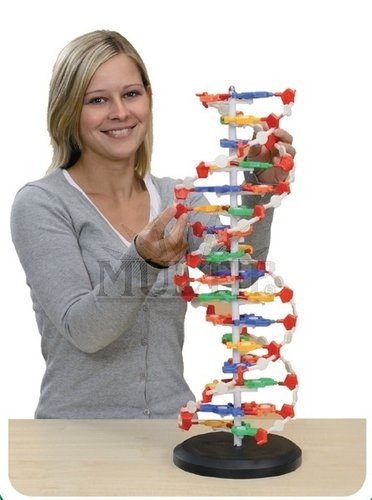 /media/products/Velk%C3%BD_model_DNA.jpg
