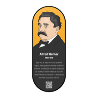 Nástěnný obraz Alfred Werner