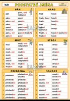 Podstatná jména - vzory mužského rodu XXL (140x100 cm)