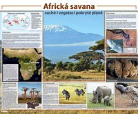 Obraz Africká savana - suché i vegetací pokryté pláně