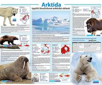 Arktida-typičtí živočichové arktické oblasti