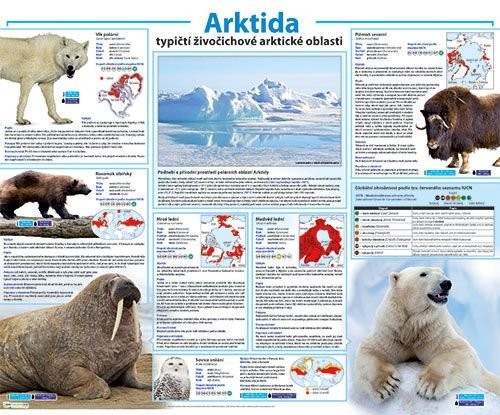 /media/products/arktida.jpg