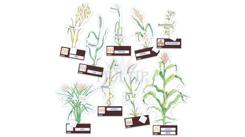 /media/products/bz-760027_l.jpg