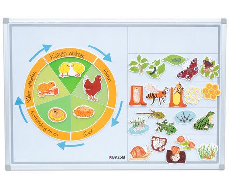 /media/products/bz-760320.jpg