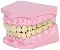 /media/products/bz-85456_2.png