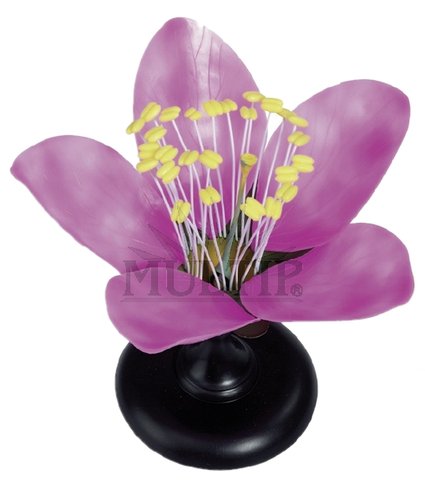 /media/products/bz-86177_l.png