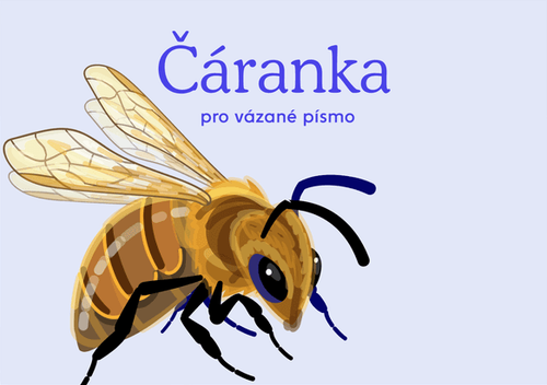 /media/products/caranka_vazane.png