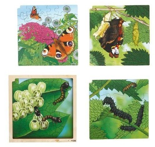 /media/products/ctyrvrstve_vyvojove_puzzle_motyl_.jpg