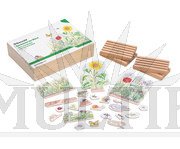 /media/products/filename_3730_l.jpg