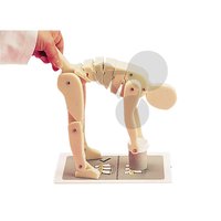 Demonstrační model - Ergonomie