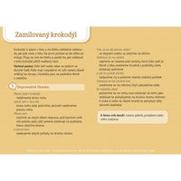 /media/products/karty-zada-5.webp
