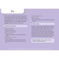 /media/products/karty-zada-7.webp
