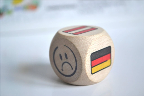 /media/products/kostka_DACHwisser.png