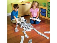 Obří podlahové pěnové puzzle kostry