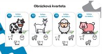 /media/products/kvarteto_obrazkove_univerzalni_4_9Pn2LNM.jpg